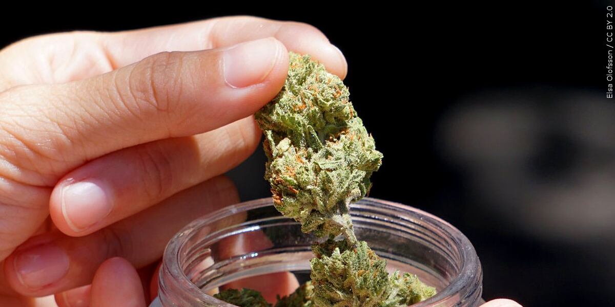 Problem Pot New study suggests marijuana won’t ease anxiety, common mental health ...