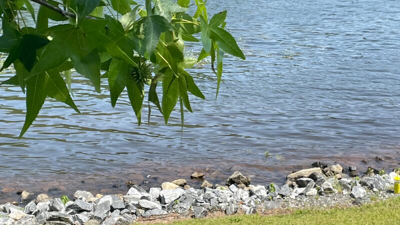 Lyman Lake in Spartanburg County