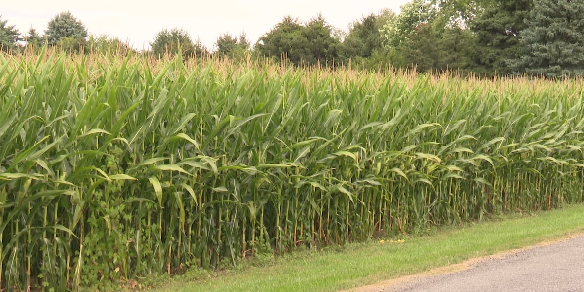 Changes to H-2A visa program expected to help Michiana farms combat labor shortage