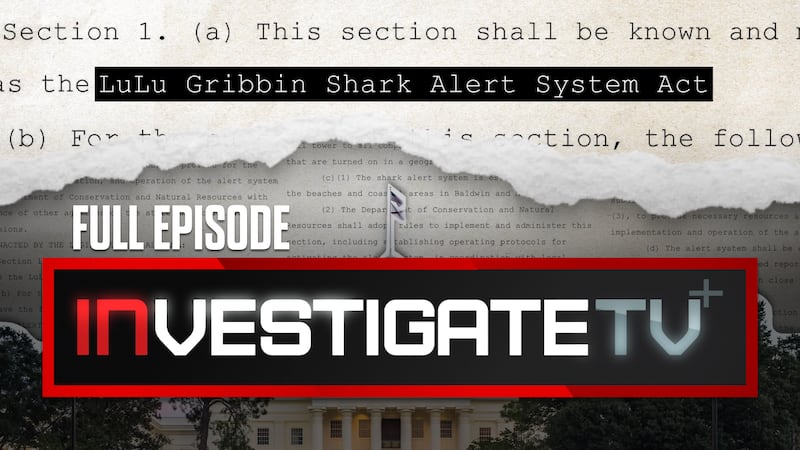 InvestigateTV+: Lulu’s Law could help alerts for shark attacks