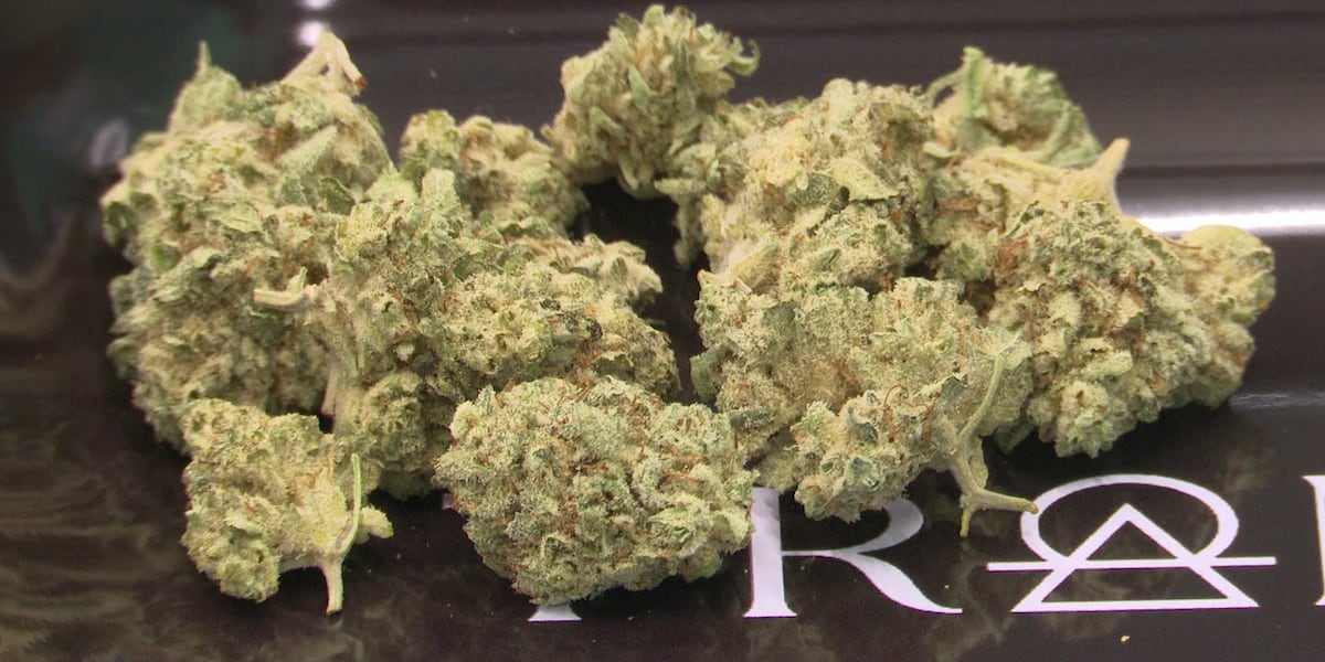 Niles Township election officials offer no clarity on confusion over marijuana ballot proposals