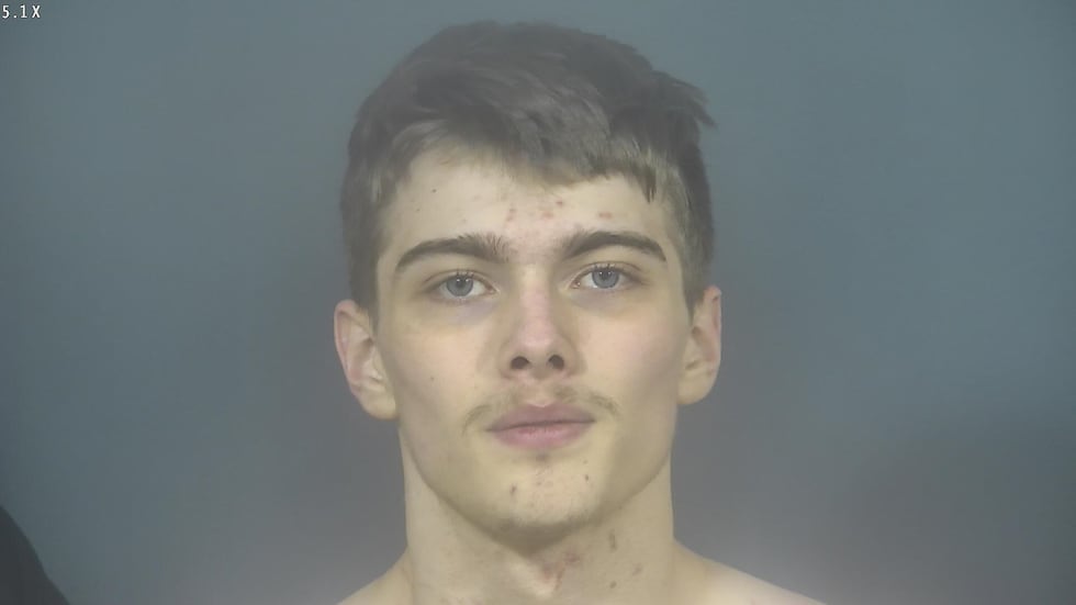 Caiden Rutley 16-year-old accused of stabbing mother, 2 dogs appears in court