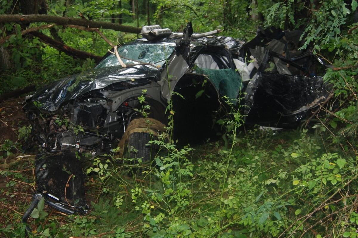 preloaded gallery image