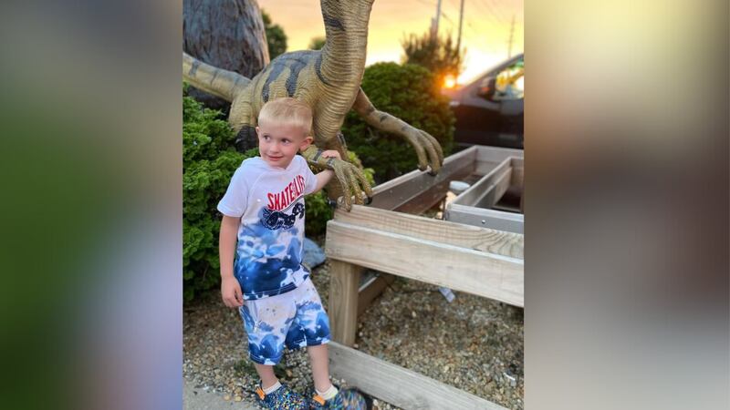 A 5-year-old is in critical condition after he was hit by a vehicle on Friday, according to...