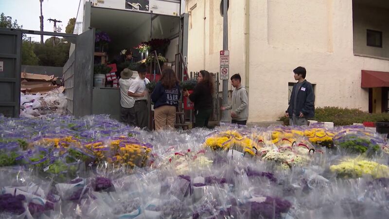 You’ll be able to watch the parade live and right here on channel 16 at noon!