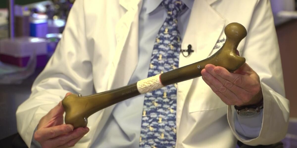 Regrowing Leg Stem cells regrow leg's long bones