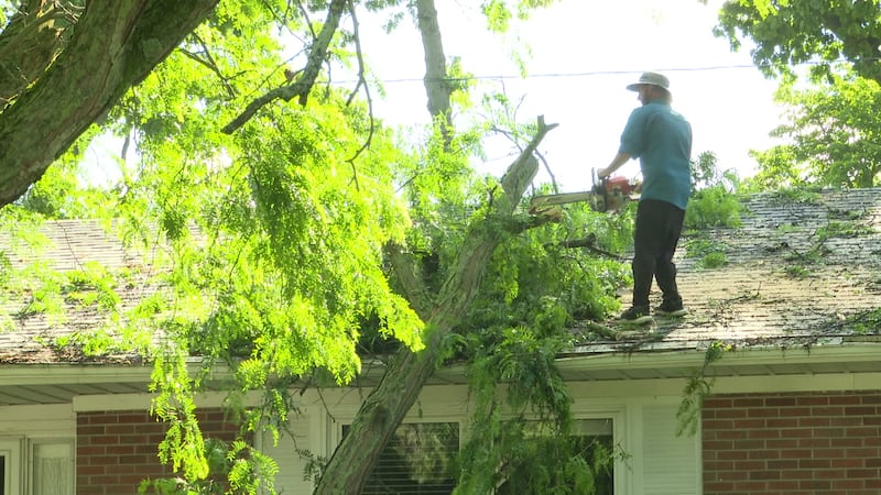 Storm damage in Elkhart