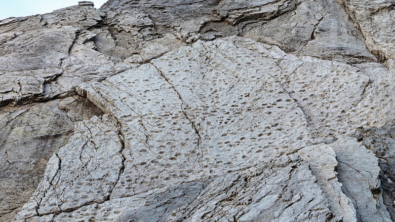 In this photograph taken in September 2025 and released Tuesday, Dec. 16, 2025, by Stelvio...