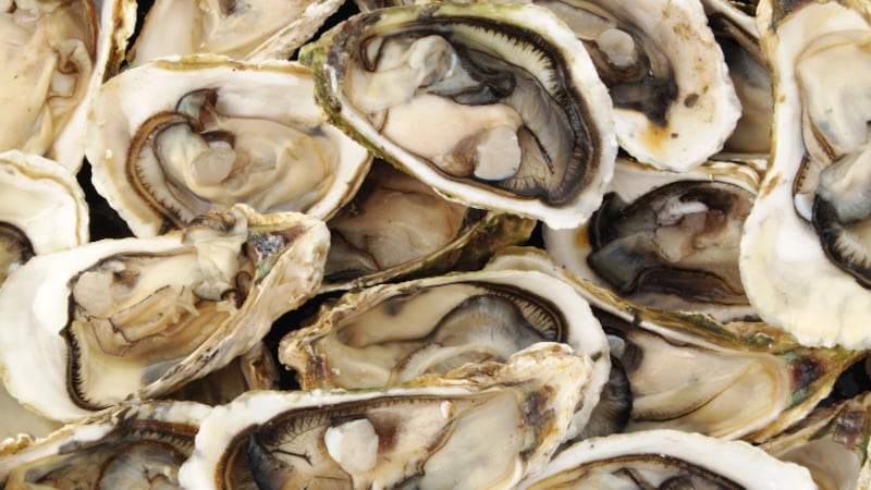 The St. Louis County Department of Public Health has issued a warning about oysters after a...