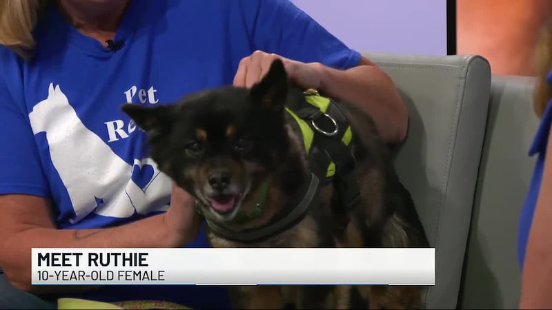 2nd Chance Pet: Ruthie