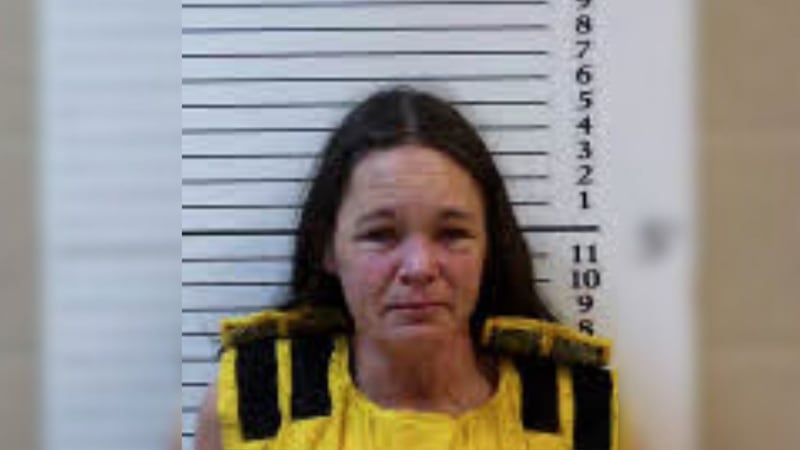 Genevieve Ellen Springer was arrested and charged with the murder of her twin sons.