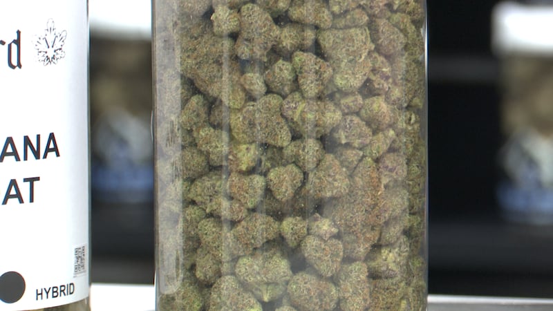 Marijuana flower buds in container at The Cake House.