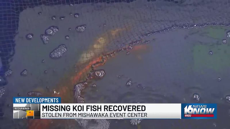 Major fire at historic downtown building, missing koi fish recovered, chemotherapy returns to...