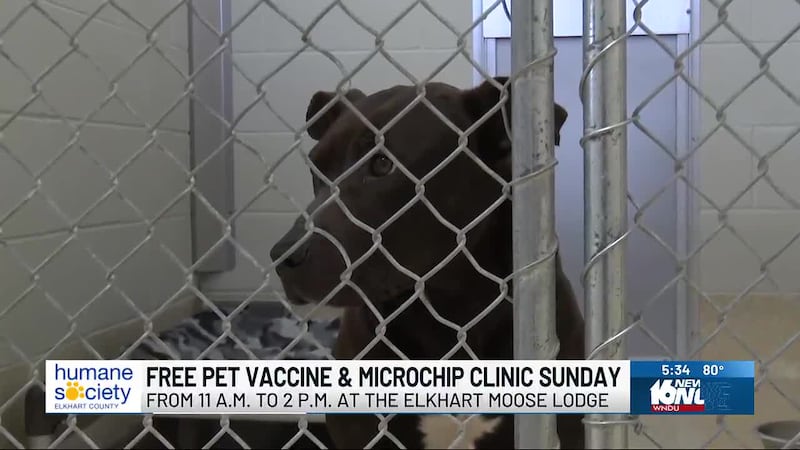 Do you have a furry friend in need of health shots or maybe a microchip so you can keep an eye...