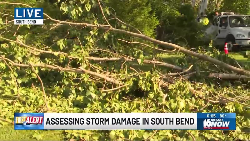 Multiple trees fell during overnight storms in a South Bend neighborhood near Clay High School.