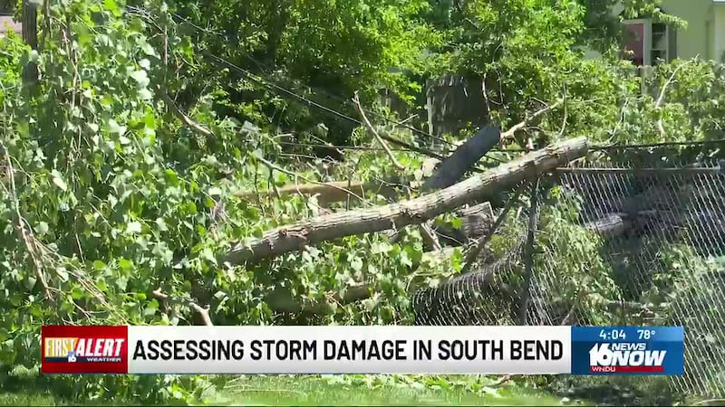Multiple trees fell during the storms, including one that landed on a power line, another that...