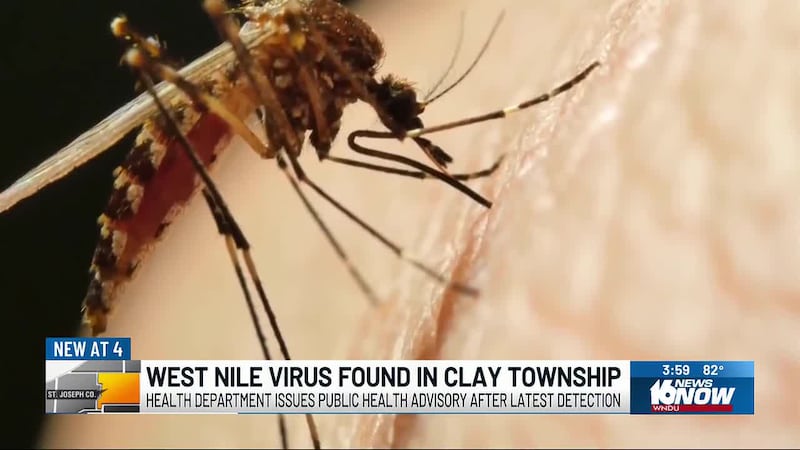 West Nile virus found in third pool of mosquitoes in St. Joseph County