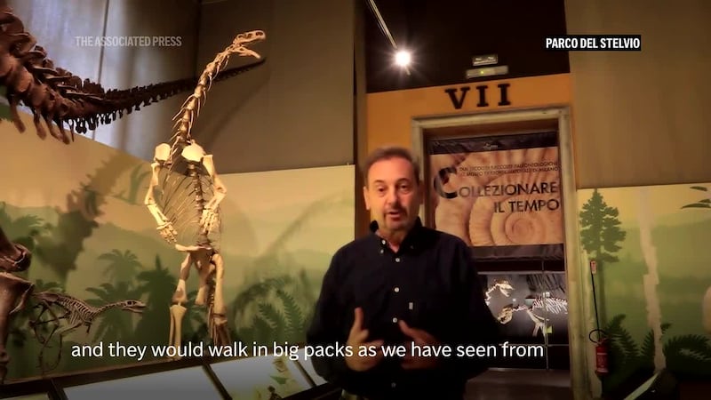 A wildlife photographer has discovered one of the oldest and largest collections of dinosaur...